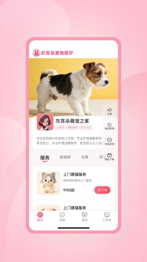 灰耳朵陪寵截圖(1)