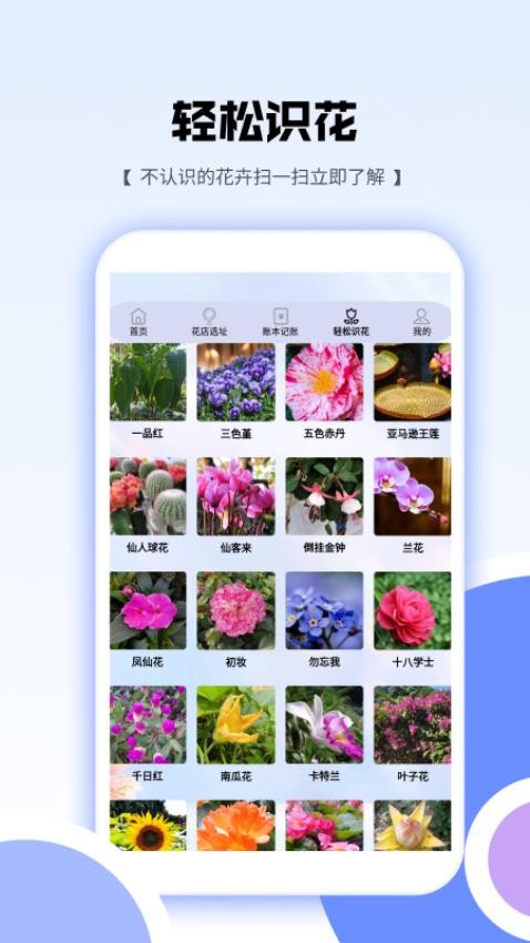 花朵愛消消截圖(4)