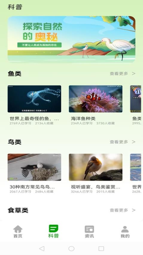 動(dòng)物世界大全截圖(1)