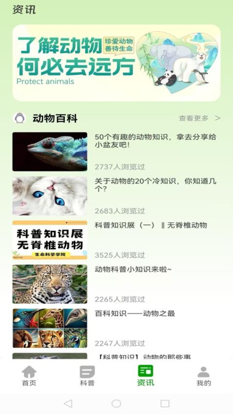 動(dòng)物世界大全截圖(3)