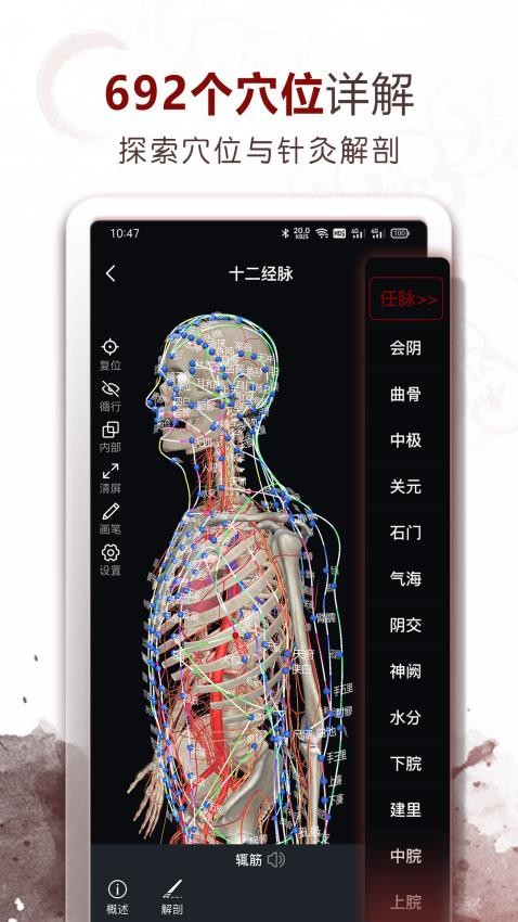 中醫(yī)經(jīng)絡(luò)穴位截圖(2)