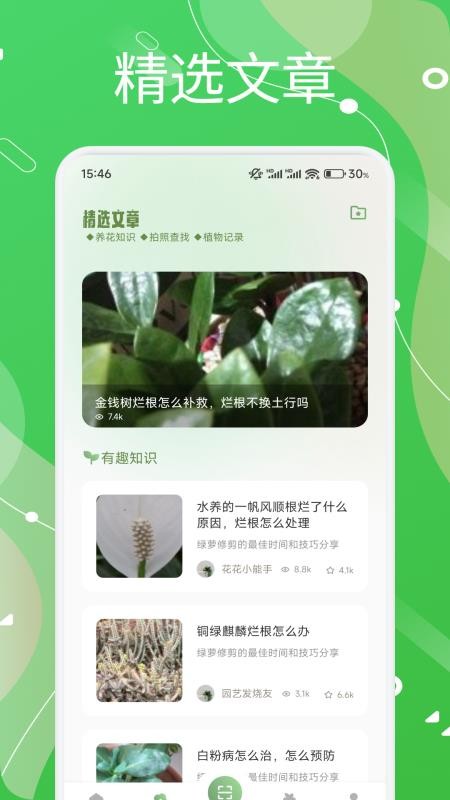 芙蓉花語截圖(3)