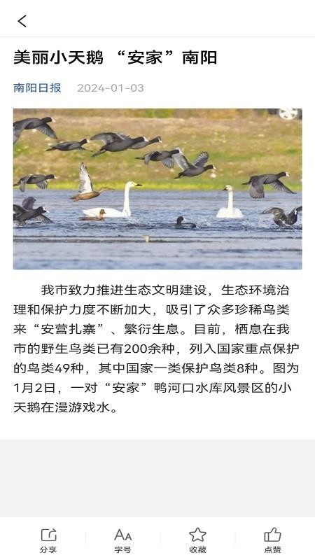 南陽政務(wù)截圖(2)
