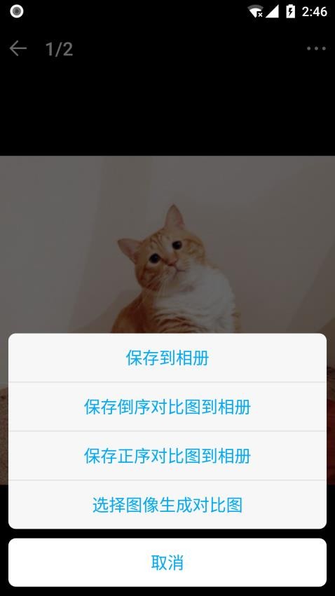 貓咪成長記截圖(3)