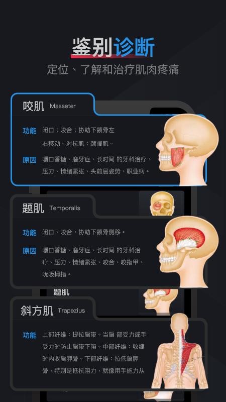 肌肉激痛點(diǎn)圖譜截圖(5)