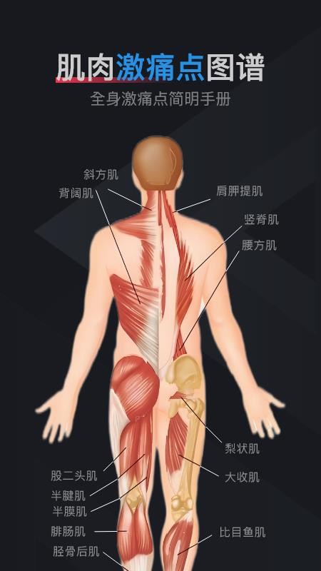 肌肉激痛點(diǎn)圖譜截圖(4)