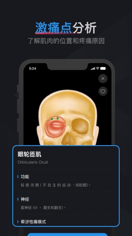 肌肉激痛點(diǎn)圖譜截圖(3)