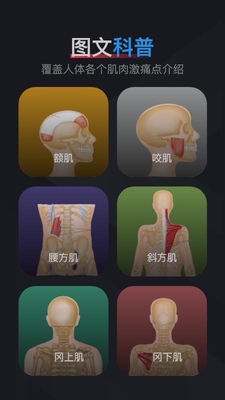 肌肉激痛點(diǎn)圖譜截圖(2)