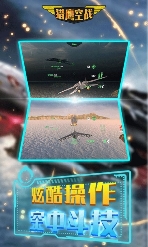 獵鷹空戰(zhàn)截圖(3)
