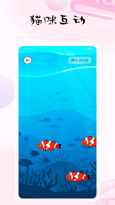 貓捉魚截圖(4)