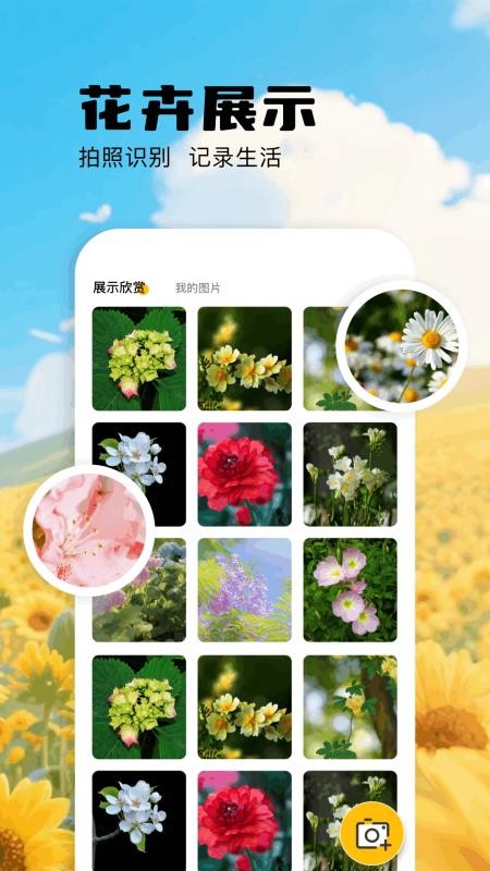 掃描識萬物截圖(2)