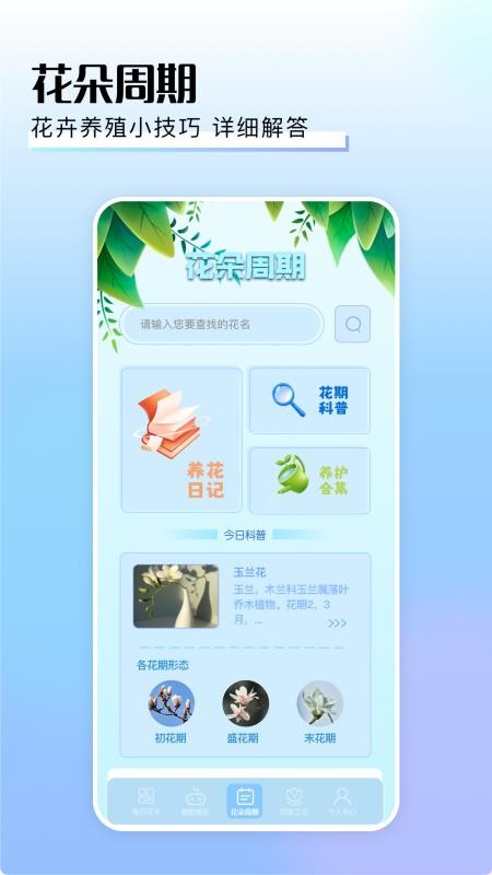 擺花齊放截圖(4)