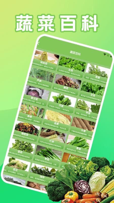 菜園大師好運截圖(1)