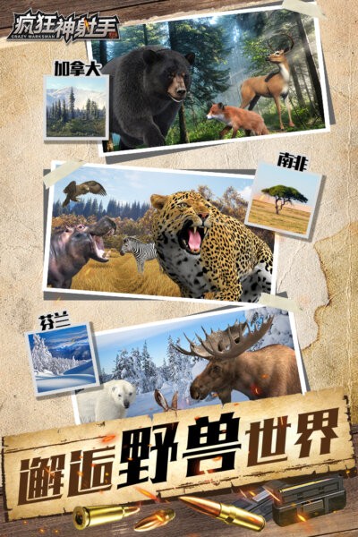 瘋狂神射手截圖(4)