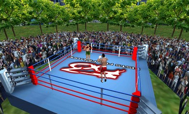 3D拳擊對戰(zhàn)截圖(4)