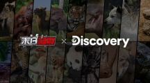 《末日喧囂》圣誕節(jié)限定活動開啟！同步釋出Discovery合作TVC和全新CG