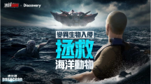 《末日喧囂》×Discovery頻道「世界海洋日」限定活動開啟，海洋危機TVC同步釋出！