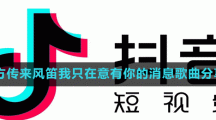 遠(yuǎn)方傳來風(fēng)笛我只在意有你的消息歌曲分享