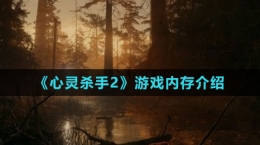《心靈殺手2》游戲內(nèi)存介紹