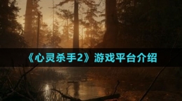 《心靈殺手2》游戲平臺(tái)介紹