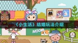 《小生活》結婚玩法介紹
