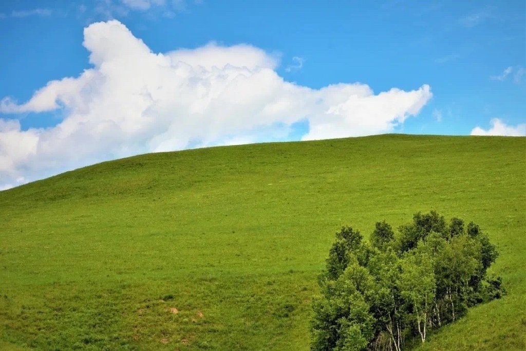 微信狀態(tài)農(nóng)場(chǎng)背景高清無(wú)水印圖片分享