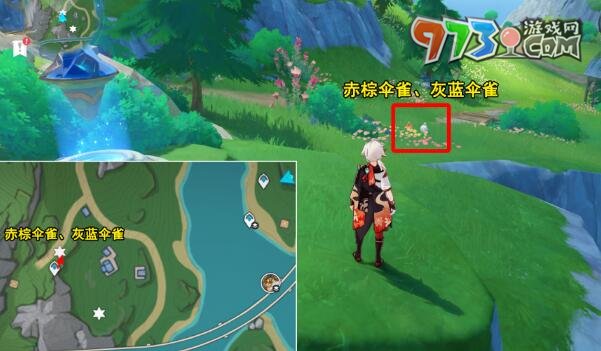《原神》光影研學旖旎水界第四關(guān)攻略