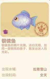 《摩爾莊園》銀鏡魚(yú)位置介紹