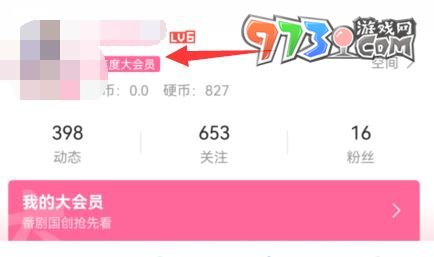 《嗶哩嗶哩》大會員自動續(xù)費(fèi)關(guān)閉方法