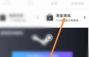 《小黑盒》購(gòu)買(mǎi)記錄查看方式介紹