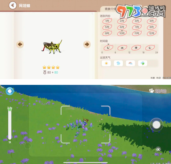 《心動(dòng)小鎮(zhèn)》昆蟲捕捉位置